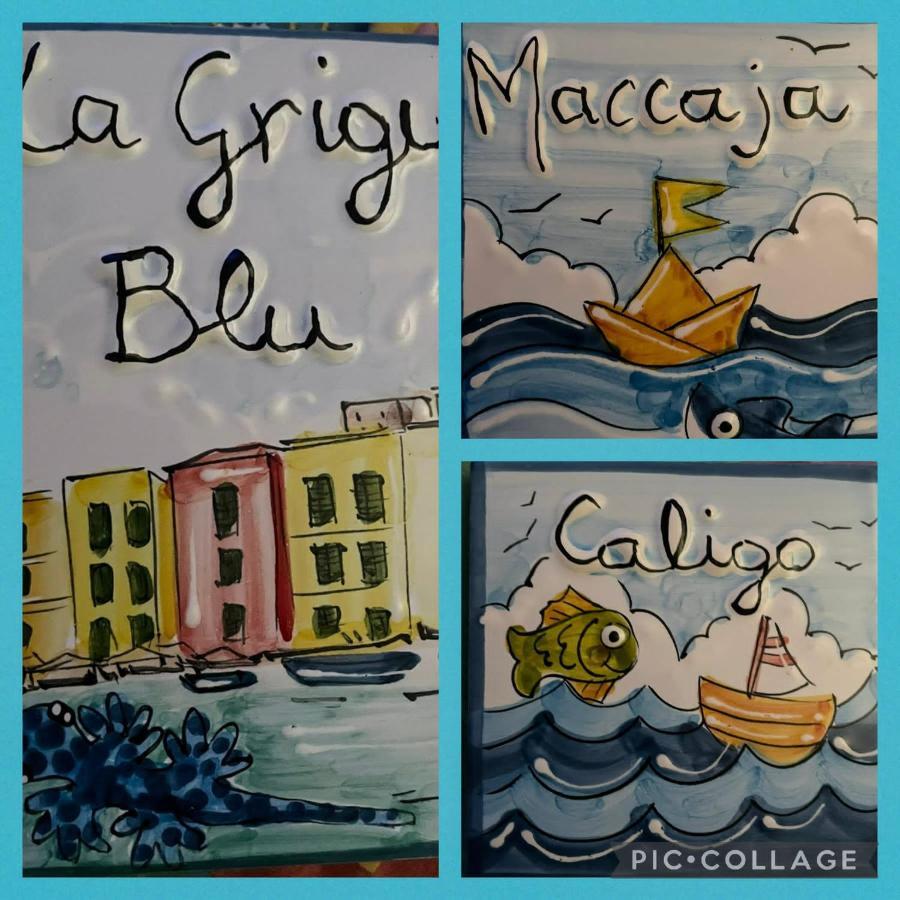 Apartmán La Grigua Blu Riomaggiore Exteriér fotografie